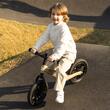 Balance Bike Qplay Racer Platinum