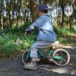 Balance bike QPlay Trainer Verde