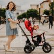 Tricicleta multifunctionala Coccolle Pianti Ruby Red