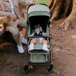 Carucior sport cu pliere automata Coccolle Sierra Greystone